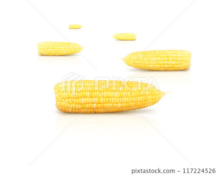 fresh sweet corn isolated on white background fresh sweet corn isolated on white background 117224526