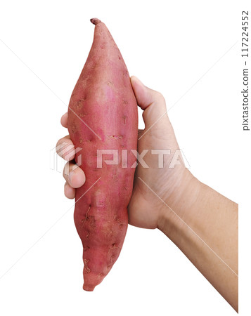 sweet potato in hand isolated on white background 117224552