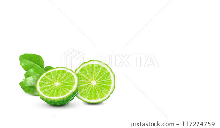 kaffir lime fruit with stems and leaves isolated on white background and space for text input kaffir lime fruit with stems and leaves isolated on white background and space for text input 117224759