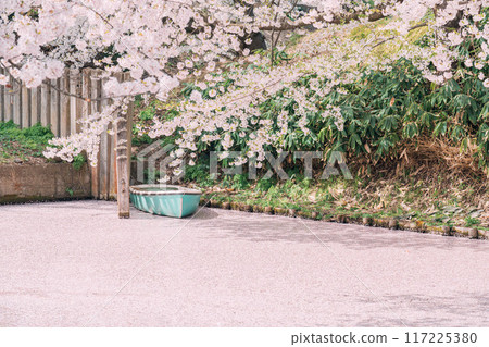 青森縣弘前城的花筏 117225380