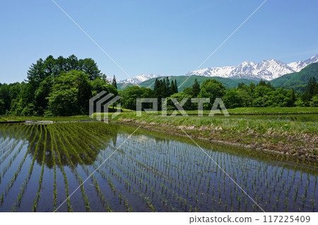 Otari Village: Rice terraces of Koshidamine and snow-covered Hakuba Sanzan mountains reflected in the water Otari Village: Rice terraces of Koshidamine and snow-covered Hakuba Sanzan mountains reflected in the water 117225409