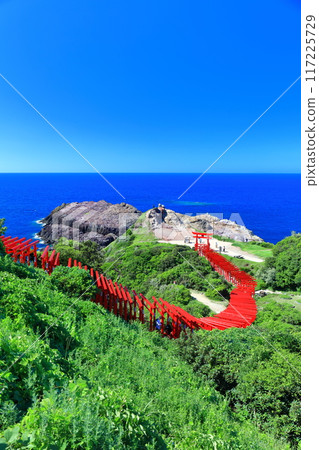 [Yamaguchi Prefecture] The 100 Torii gates of Motonosumi Shrine on a clear day 117225729
