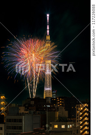 東京隅田川煙火和天空樹 東京隅田川煙火和天空樹 117226088