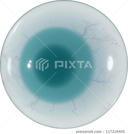 3D Green eyeball 117226405