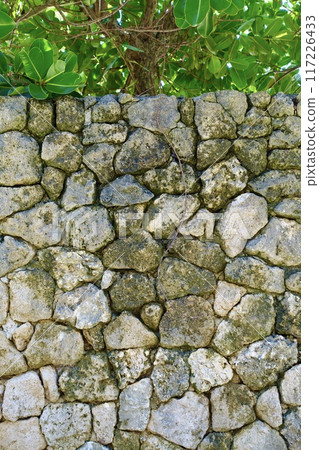 Stone wall and green leaves 117226433