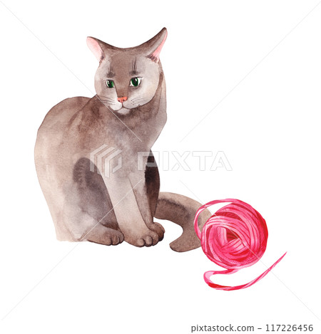 Gray fluffy cat with green eyes and a ball of pink fur, a pet drawn with watercolors. Watercolor illustration. Suitable for printing on fabric, paper, for packaging pet products. Gray fluffy cat with green eyes and a ball of pink fur, a pet drawn with watercolors. Watercolor illustration. Suitable for printing on fabric, paper, for packaging pet products. 117226456