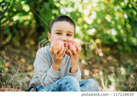 portrait of girl eating red organic apple outdoor. Harvest Concept. Child picking apples on farm in autumn. Children and Ecology. Healthy nutrition Garden Food. Boy holding in front of his face apple portrait of girl eating red organic apple outdoor. Harvest Concept. Child picking apples on farm in autumn. Children and Ecology. Healthy nutrition Garden Food. Boy holding in front of his face apple 117226630