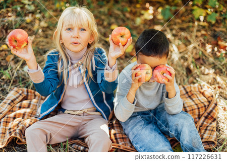 Children with Apple in Orchard. Harvest Concept. Garden, boy and blonde girl eating fruits at fall. Child picking apples on farm in autumn. Healthy nutrition Garden Food. 117226631