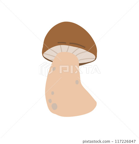 Illustrated brown mushroom with a thick stem and a rounded cap, showcasing a side view. This botanical design captures the essence of forest fungi in a simple, natural style 117226847
