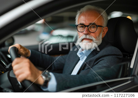 Mature Businessman Behind the Wheel 117227106