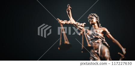 Law, legal, judge, lady justice concept 117227630