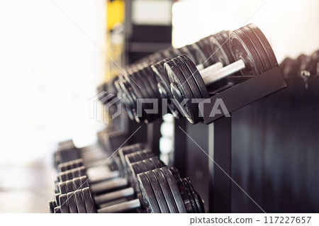 Iron dumbbells lying in rows in the gym. Copy space. Side view. Sports concept Iron dumbbells lying in rows in the gym. Copy space. Side view. Sports concept 117227657