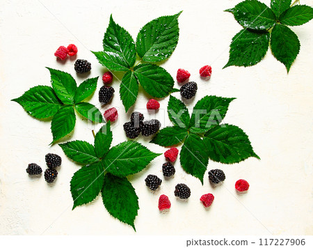 fresh blackberries and raspberries, with foliage, top view, on a light background, no people, 117227906