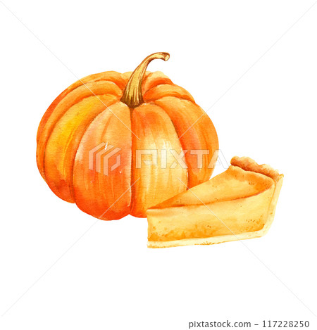 watercolor piece of delicious pumpkin pie and raw orange pumpkin, hand drawn illustration of food theme, treats for the holiday, Halloween, autumn party, cozy sketch on white background for card 117228250