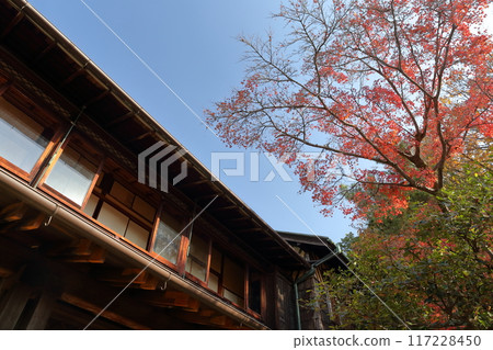 Japanese house autumn leaves 117228450