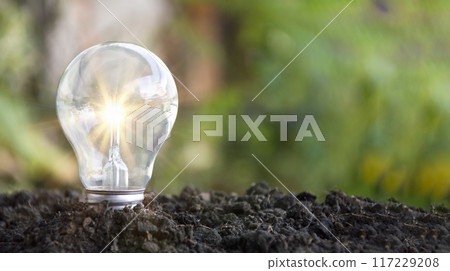 Ideas, business recovery, innovation, brainstorming, inspiration and problem solving ideas. light bulb on the ground Ideas, business recovery, innovation, brainstorming, inspiration and problem solving ideas. light bulb on the ground 117229208