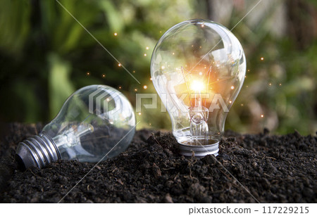Failed and regained business ideas, innovation, brainstorming, inspiration and problem solving ideas. The lamp is placed flat on the floor and stands on the floor. Failed and regained business ideas, innovation, brainstorming, inspiration and problem solving ideas. The lamp is placed flat on the floor and stands on the floor. 117229215
