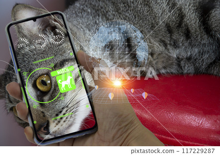 Concept of using artificial intelligence to find lost or lost pets, using search applications 117229287