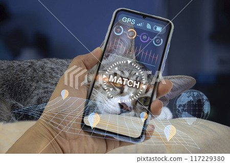 Concept of using artificial intelligence to find lost or lost pets, using search applications Concept of using artificial intelligence to find lost or lost pets, using search applications 117229380