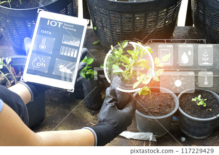 The concept of using AI and smart farming.. The concept of using AI and smart farming.. 117229429
