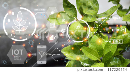 The concept of farming is a new way of using technology to help in the work called Smart Farming. 117229554