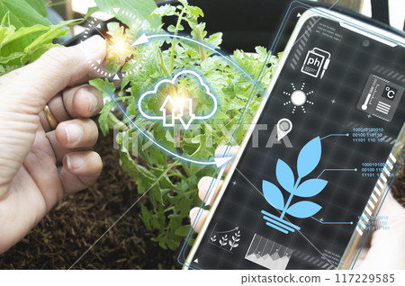 The concept of new farming or smart farming, agricultural technology 117229585