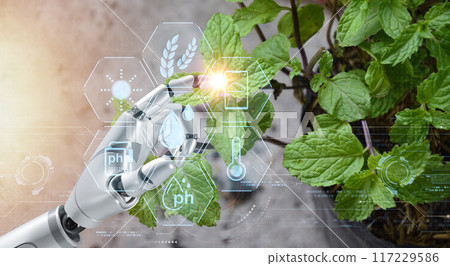 The concept of new farming or smart farming, agricultural technology Using artificial intelligence in agriculture The concept of new farming or smart farming, agricultural technology Using artificial intelligence in agriculture 117229586