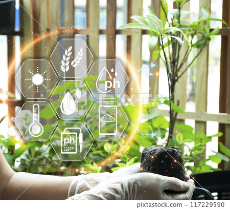 The concept of new farming or smart farming, agricultural technology The concept of new farming or smart farming, agricultural technology 117229590