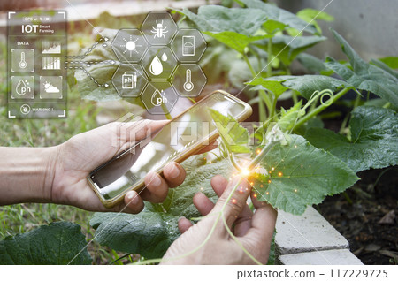 The concept of using AI and smart farming.. The concept of using AI and smart farming.. 117229725