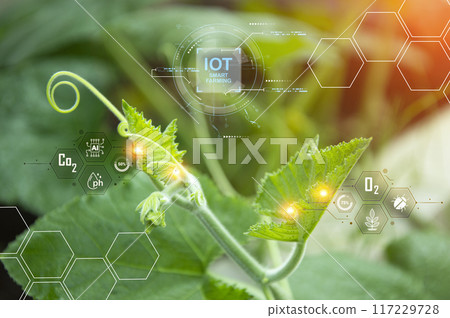 The concept of using AI and smart farming. 117229728