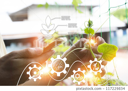 The concept of using AI and smart farming.. The concept of using AI and smart farming.. 117229834