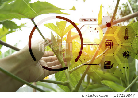 The concept of using AI and smart farming.. 117229847