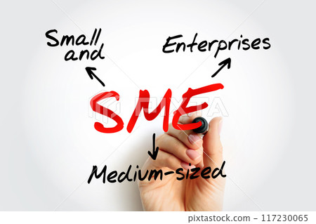 SME - Small And Medium-sized Enterprises acronym, business concept background SME - Small And Medium-sized Enterprises acronym, business concept background 117230065