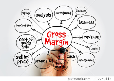 Gross Margin is the difference between revenue and cost of goods sold, divided by revenue, mind map concept background Gross Margin is the difference between revenue and cost of goods sold, divided by revenue, mind map concept background 117230112