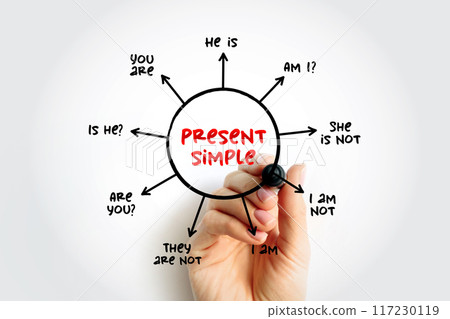 Present simple Tense - verb "to be" education mind map, english grammar concept background Present simple Tense - verb "to be" education mind map, english grammar concept background 117230119