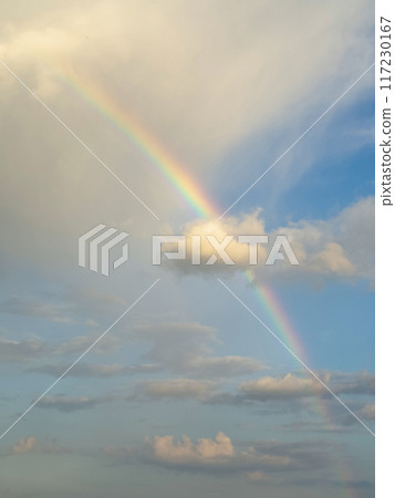 Beautiful rainbow in the sky over clouds. Vertical view. Beautiful rainbow in the sky over clouds. Vertical view. 117230167