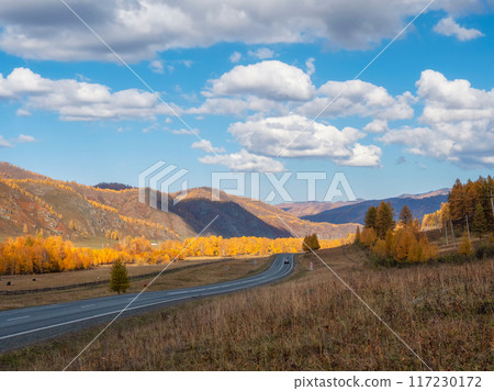 Chuisky tract in autumn. Chuisky tract in autumn. 117230172