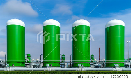 Eco-Friendly Gas Production from Agricultural Residues 117230903