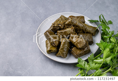 Dolma. Stuffed grape leaves (traditional Caucasian, Turkish, Greek cuisine)  117231497