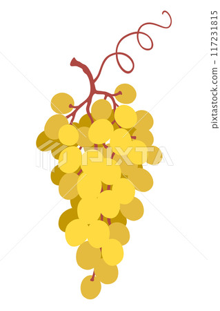 Simple Yellow Grapes Bunch isolated on White. 117231815