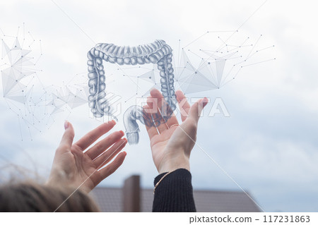 The concept of Gut Health. 117231863