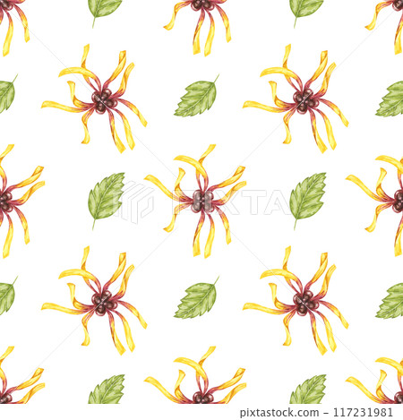 Witch hazel vibrant floral textile, cosmetics packaging clipart. Yellow hamamelis flowers seamless pattern. Watercolor print for kitchen, curtains, home textile, herbal medicine, natural remedy labels 117231981