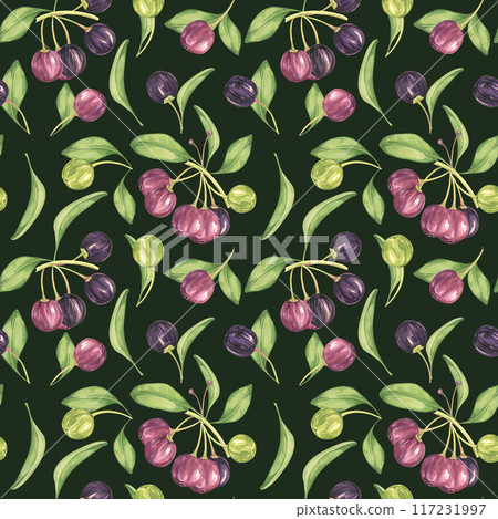 Maqui berry, purple pink fruit seamless pattern with leaves. Aristotelia chilensis textile watercolor ornament clipart. Vibrant Chilean wineberry print for clothing, paper, scrapbooking, wallpaper Maqui berry, purple pink fruit seamless pattern with leaves. Aristotelia chilensis textile watercolor ornament clipart. Vibrant Chilean wineberry print for clothing, paper, scrapbooking, wallpaper 117231997