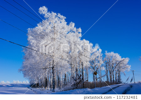 Rime and blue sky 117232481