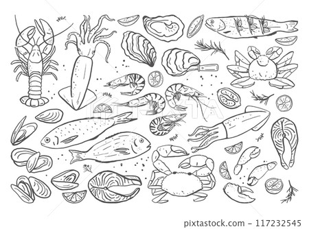 Hand drawn different seafood set Hand drawn different seafood set 117232545