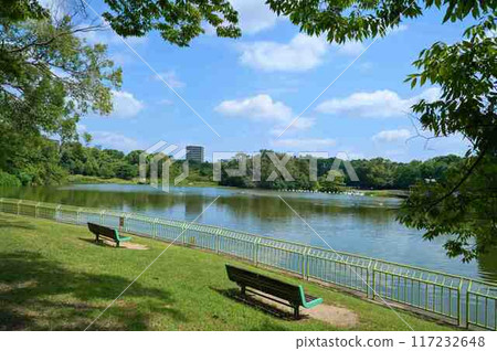 Nagai Park Oike Pond Nagai Park Oike Pond 117232648