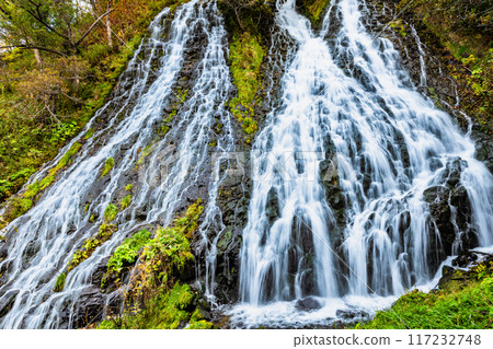 Oshinkoshin Falls, Hokkaido, Autumn 117232748