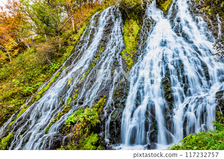 北海道阿新古心瀑布 秋天 117232757