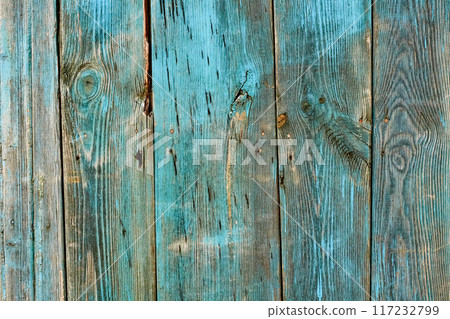 Weathered wood old panel, aged, dilapidated cracked surface with grungy texture, flaking fade paint cyan blue hues. Decay, erosion decrepit plank or floorboard. Ancient board with chipped and peeling 117232799