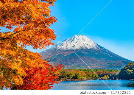 Mt. Fuji and autumn leaves - Lake Shoji and Hategohama Beach - Mt. Fuji and autumn leaves - Lake Shoji and Hategohama Beach - 117232835